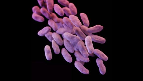 Cerca de 200 personas habrían sido expuestas a ‘súper bacteria’