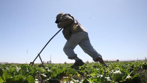 Bonos agrarios: la disputa entre el Perú y Gramercy en 7 puntos
