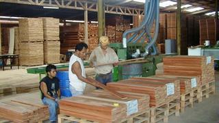Fabricarán ataúdes con madera de tala ilegal para fallecidos por COVID-19 en Ucayali