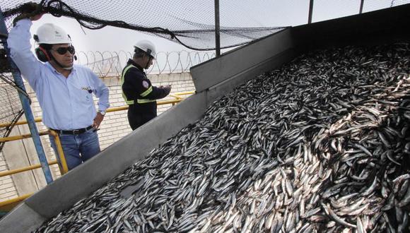 Perú dejó de exportar US$ 1,400 millones por suspensión de la primera temporada de pesca de anchoveta. (Foto: Produce)