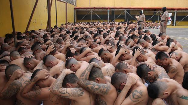 Pandilleros de la Mara Salvatrucha y Barrio 18 bajo custodia durante en el penal de Ciudad Barrios, en El Salvador. (AFP).