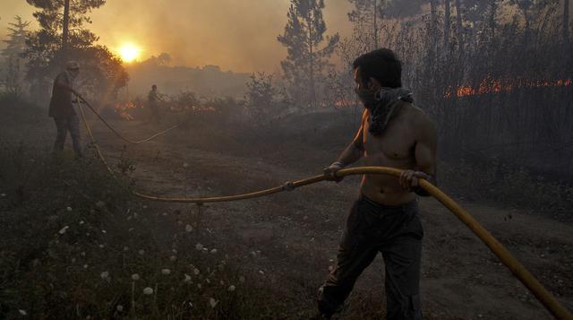 Portugal: Alarma por incendio forestal en plena ola de calor - 6