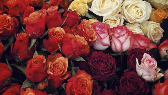 TikTok: ¿qué significa regalar 20 rosas en abril? | Foto: Pexels