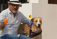 La historia de un perro llamado Vaguito: así fue el entrenamiento que recibió para su debut en el cine