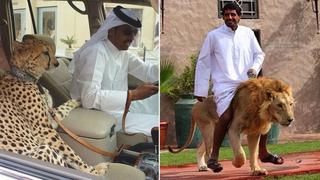 Entre oro y fieras, la vida de los millonarios en Dubai