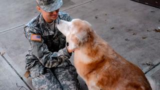 Volvió de servir en el ejército y su anciano perro le dio una conmovedora sorpresa [VIDEO]