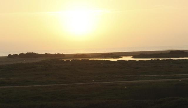 Albuferas de Nuevo Mundo. En el kilómetro 170 de la Panamericana Norte se encuentra este atractivo natural formado por las filtraciones del agua de mar en medio del desierto. Este espacio se ha convertido en un lugar de descanso para aves migratorias y para los turistas que tienen la oportunidad de quedarse en un pequeño albergue y disfrutar del paisaje natural que los rodea. (Foto: El Comercio)
