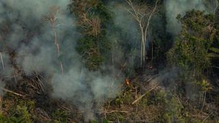 Estudio: la Amazonía de Brasil ahora emite más carbono del que puede capturar