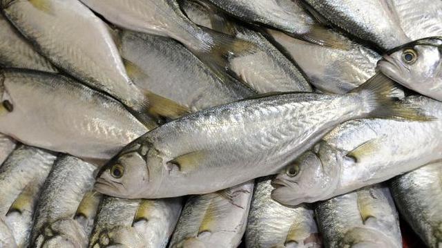 Pesca para consumo humano directo creció un 12,5% en el 2013