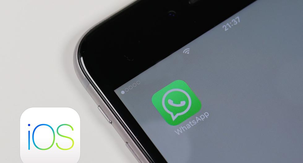 WhatsApp lanza su primera actualización de 2024 para iOS: aquí están las nuevas características