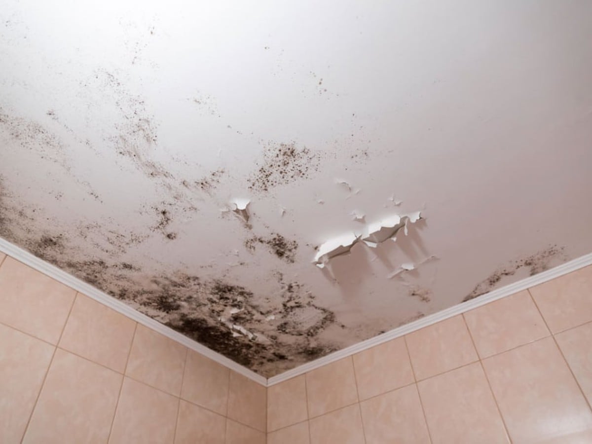 Cómo limpiar el moho del techo del baño, Trucos caseros, Hacks, Limpieza, Hogar, nnda, nnni, OFF-SIDE