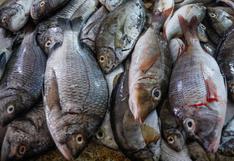 Medio ambiente: ¿por qué el comer pescado ayuda a generar menos gases contaminantes?