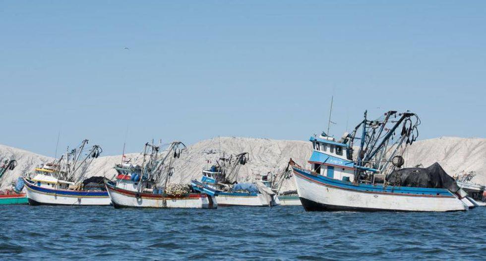 Las principales amenazas de lavado de activos en el sector pesquero son la extracción y el procesamiento ilegal de pescado | Foto: Andre Baertschi
