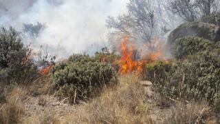 Arequipa: casi 6 mil hectáreas se perdieron por incendios forestales