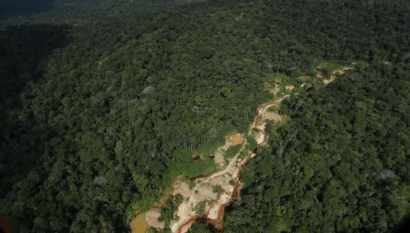 "La deforestación no cesó, provocando que la Amazonía perdiera 2,3 millones de hectáreas –con Brasil, Bolivia y Perú a la cabeza–, de acuerdo a datos del Proyecto Monitoreo de la Amazonía Andina." FOTOS: ALESSANDRO CURRARINO/EL COMERCIO