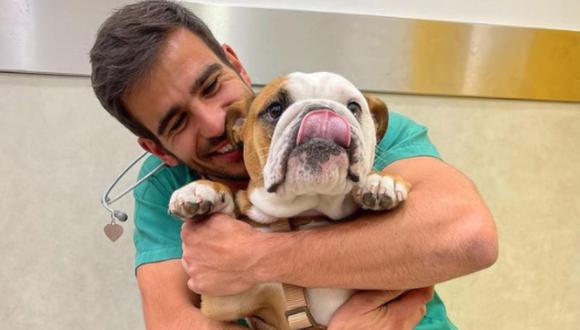 André Santos se ganó el cariño de mascotas y dueños por su forma de atender a sus 'pacientes'. | Foto: @andresantosvet