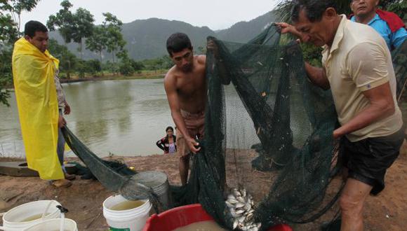 Buscan un alimento para peces a base de coco, café y cacao
