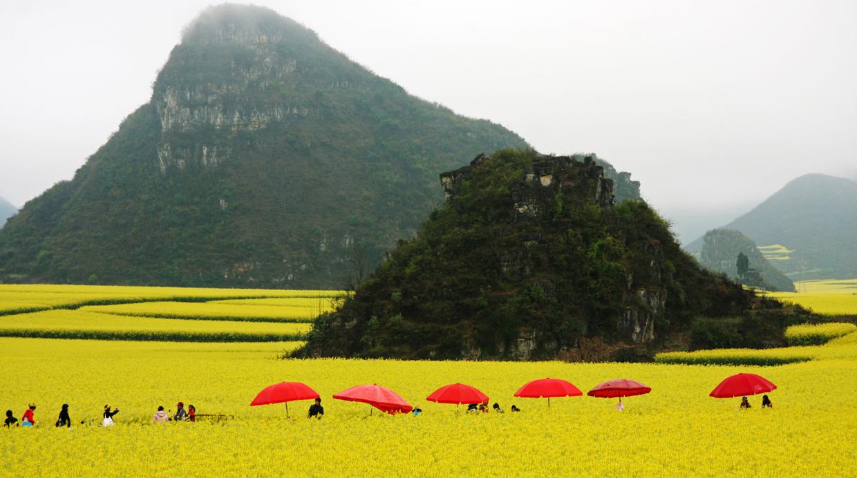 Luoping, un bello lugar en China con un intenso color amarillo - 1