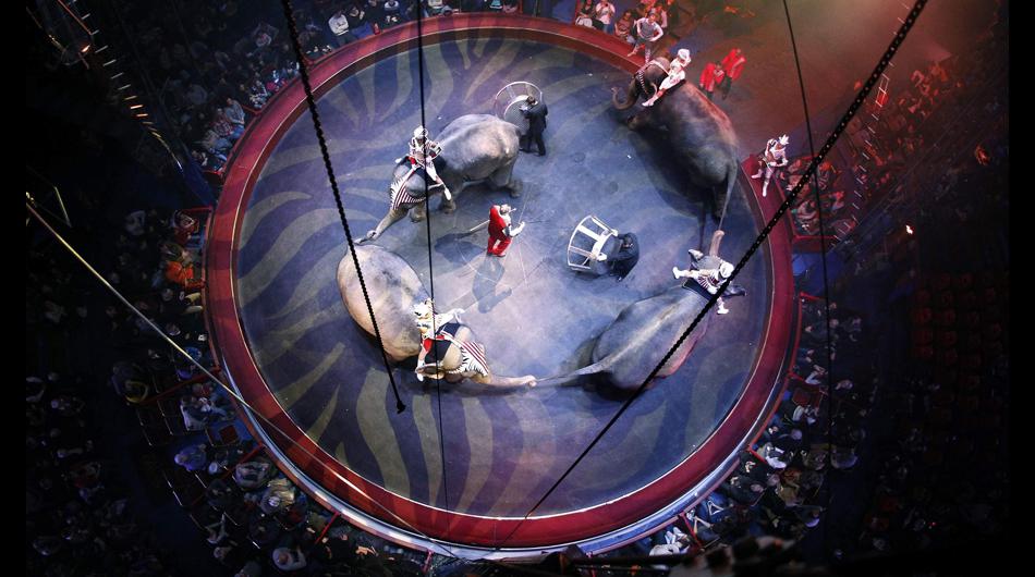 El Circo Arlette Gruss presenta su nuevo espectáculo en Francia - 1