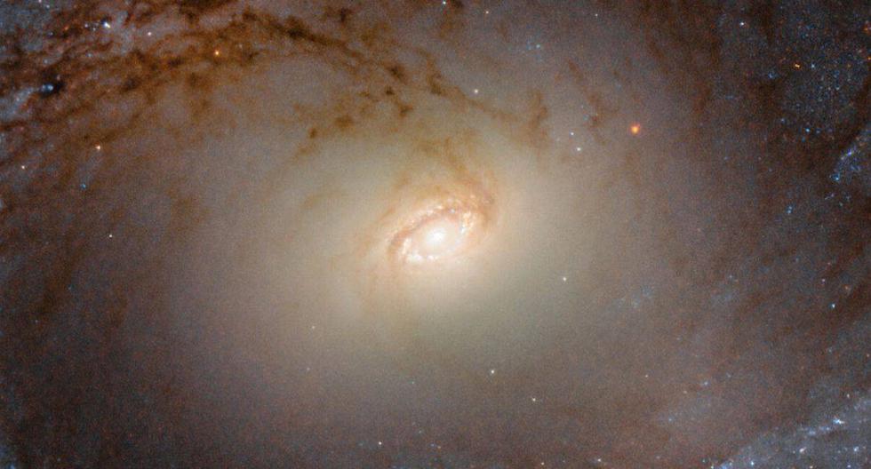 La galaxia IC 2051 se encuentra en la constelación austral de Mensa, a 85 millones de años luz de la Tierra. (Foto: NASA)