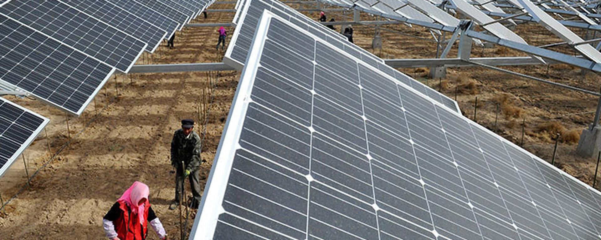 Gasíferos y eléctricos se enfrentan por proyecto de ley que busca expandir  la energía solar
