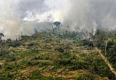 La atmósfera sobre la Amazonía se está secando a causa de la actividad humana