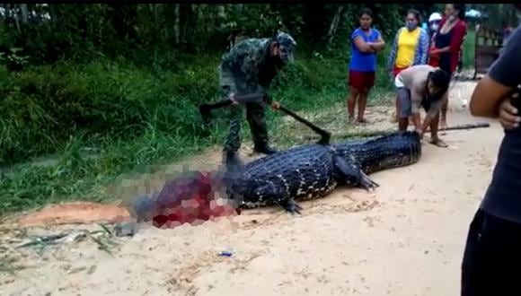 Matan a lagartos negros en plena carretera Zungarococha. (Video: Difusión)