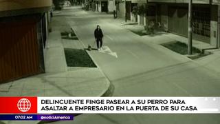 Puente Piedra: delincuentes fingen pasear perro para robar a empresario