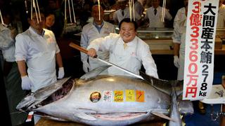 Japón: atún logra récord de 2,7 millones de euros en primera subasta anual de Tokio