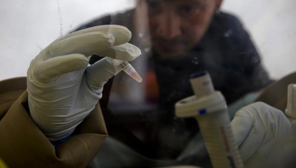 El virus del Ébola tendría una nueva cepa en Guinea