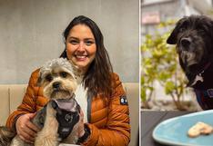 WUF: 5 restaurantes ‘pet friendly’ que acaban de inaugurar en Lima