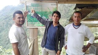 Cajamarca: joven contribuye en la preservación del árbol de la quina