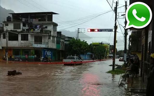Vía WhatsApp: Fuertes lluvias inundan viviendas en Tingo María - 1