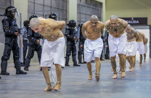 La llegada de reclusos pertenecientes a las pandillas MS-13 y Barrio 18 al CECOT. (AFP).