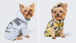 Moschino y H&amp;M presentan colección para perros