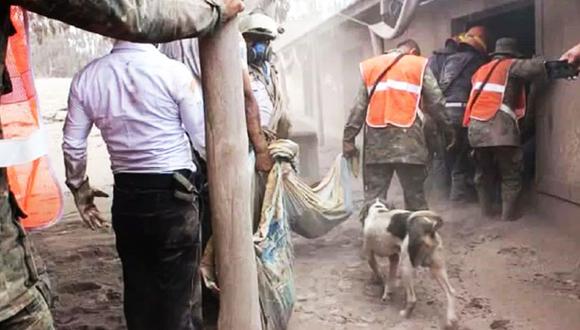 Guatemala: Perro guía a rescatistas para hallar cuerpos de sus dueños sepultados. (Foto: Facebook)