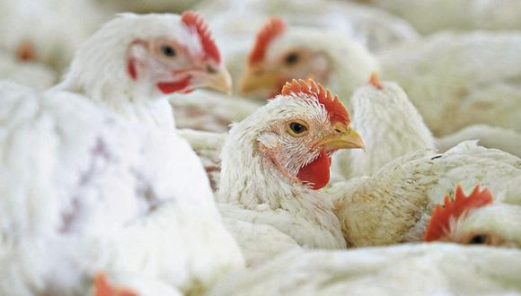 Golpe. El 30% de la producción de pollos iba a restaurantes.