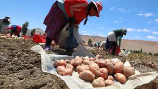 Guido Bellido: “[Se buscará] la generación de mayor valor agregado para los productos agropecuarios”