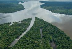 WWF Perú presentará aportes a la conservación de bosques amazónicos