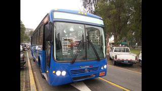Buses patrón circularán en Av. Benavides desde noviembre