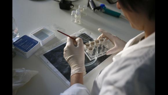 Científicos trabajan en la primera vacuna contra el Chikunguña