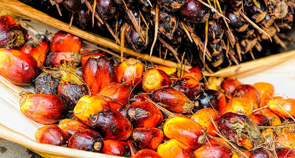 El aceite de palma es muy saludable. (Foto:Pixabay)