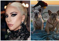 Lady Gaga: Detienen a 5 individuos por el asalto al paseador de perros de la cantante