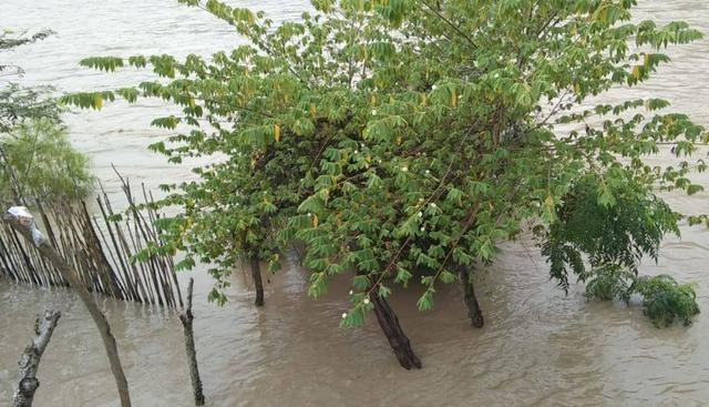 Las lluvias intensas provocaron el incremento del caudal del río Marañón. (Foto: Facebook/Ebert Bravo Gonzales)