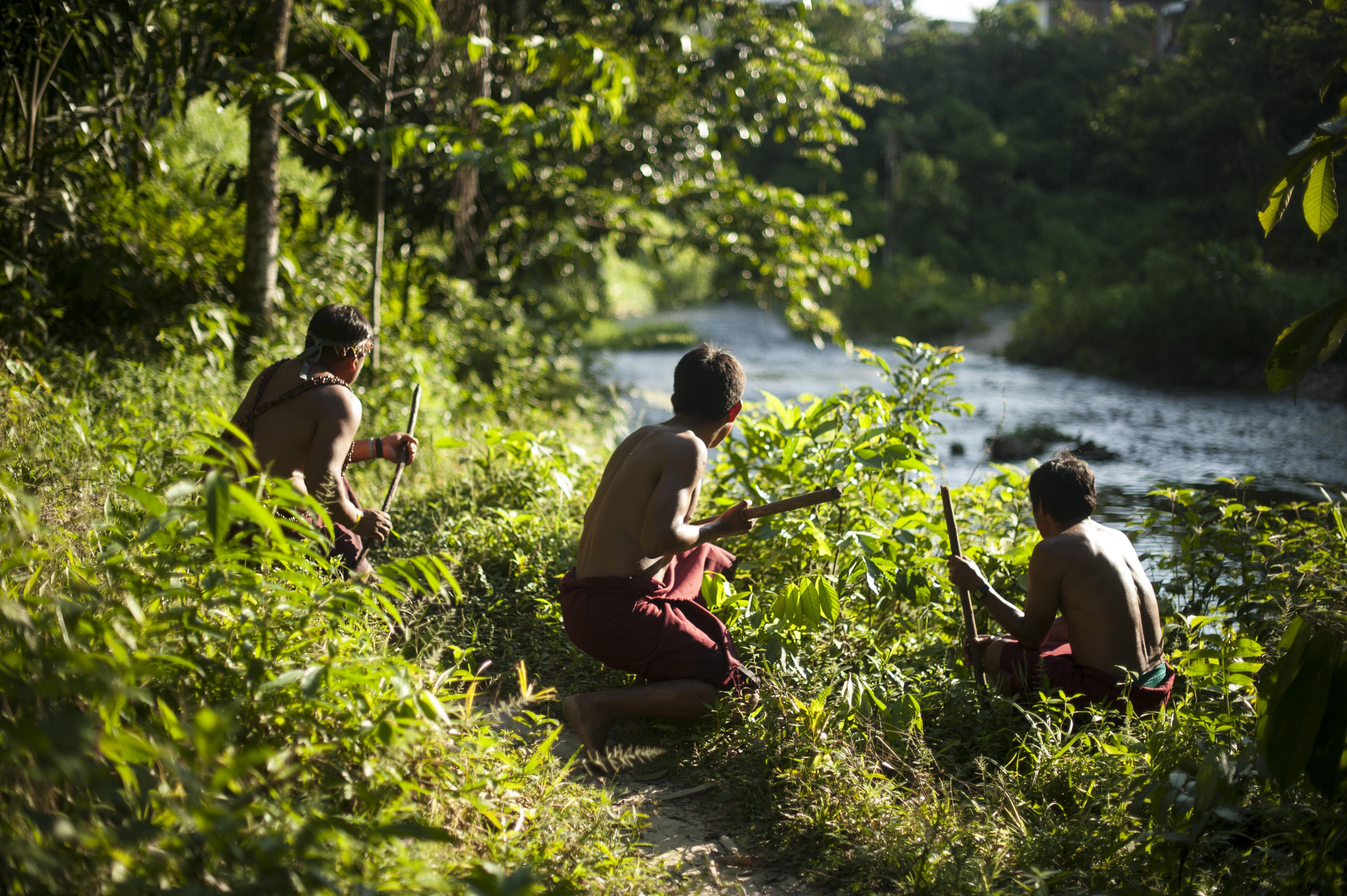 Los pueblos indígenas han desarrollado acciones de protección y una buena gestión del bosque en los territorios donde habitan. (Foto: Elías Alfageme / El Comercio)