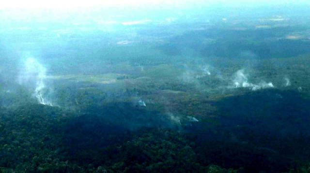 Loreto: declaran en emergencia valle de Shanusi ante incendio - 3