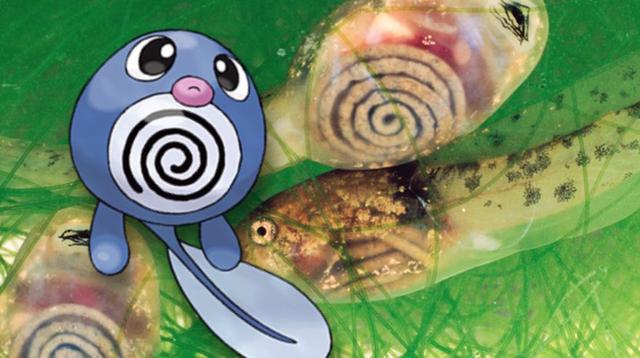 8 pokémon que se basan en criaturas del mundo real