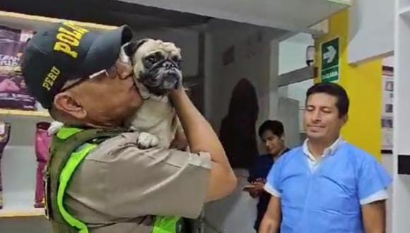 PNP indicó que han realizado la coordinación con el Ministerio Público a fin de solicitar la adopción de la perrita de raza pug que fue golpeado por su dueño. (Foto: Instagram)