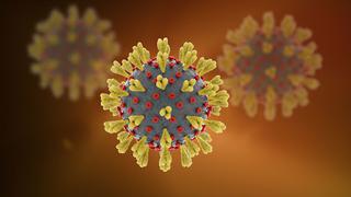 Coronavirus | Investigan un componente que podría ser su talón de Aquiles