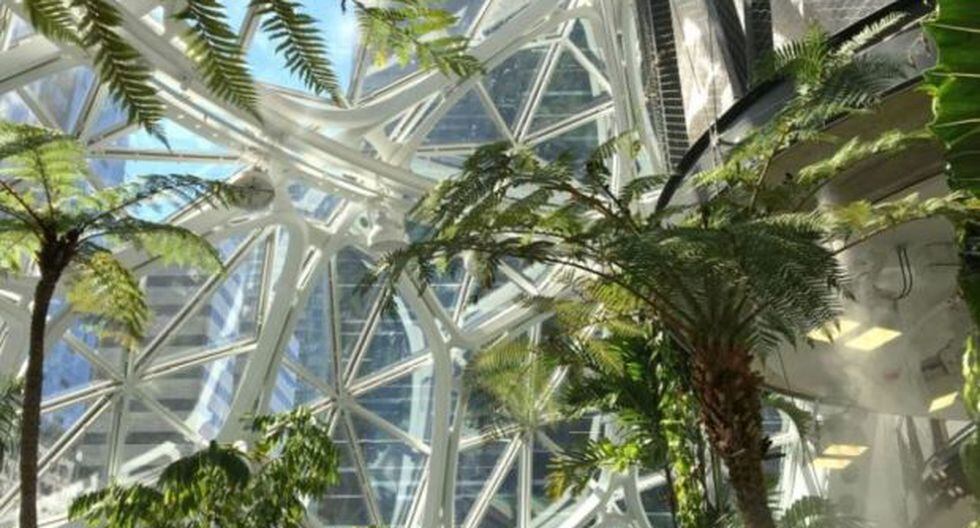 Empresas: Youtube: El bosque futurista para los trabajadores de Amazon